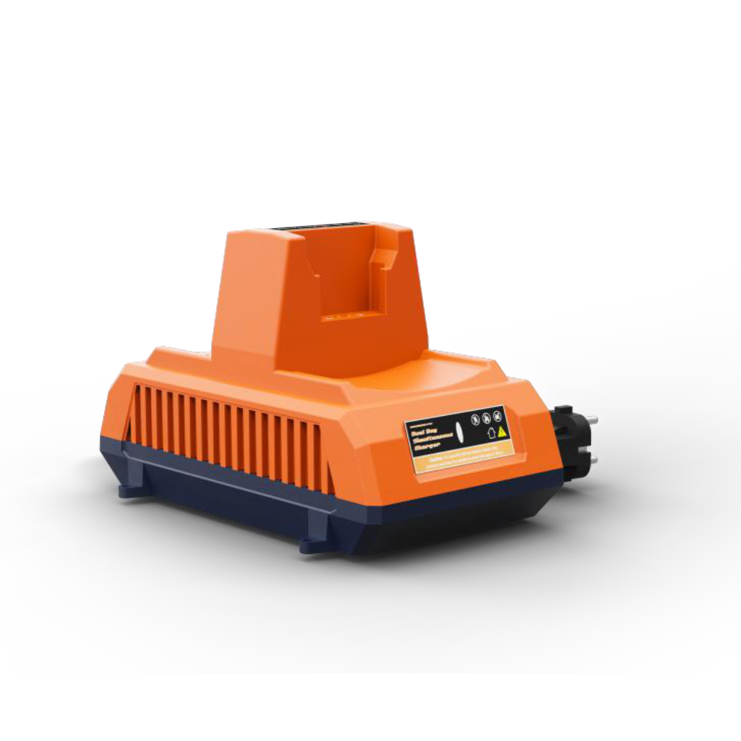 Chargeur Double pour batterie Lithium